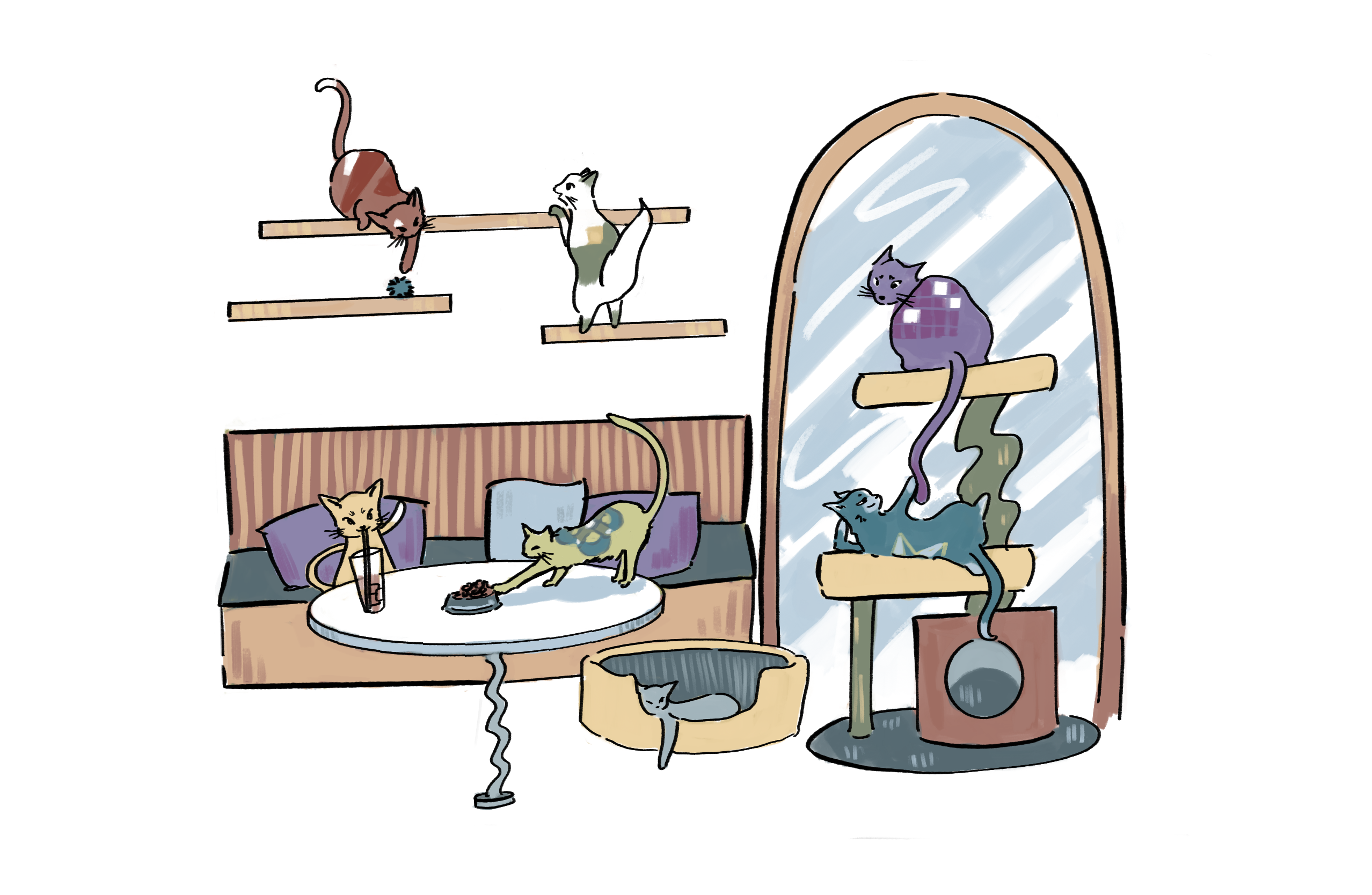 Story Image